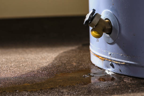 Murphysboro, IL Water damage restoration Company