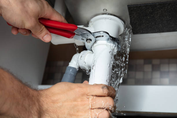 Best Water damage restoration near me  in Murphysboro, IL