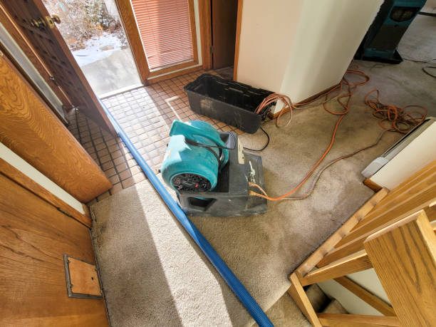 Best Carpet water damage restoration  in Murphysboro, IL
