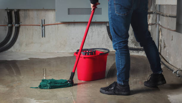 Best Sewage cleanup and water damage restoration  in Murphysboro, IL