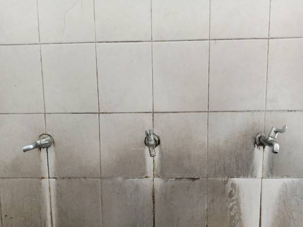 Best Basement water damage restoration  in Murphysboro, IL