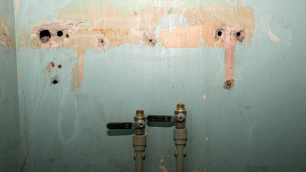  Murphysboro, IL Water damage restoration Pros