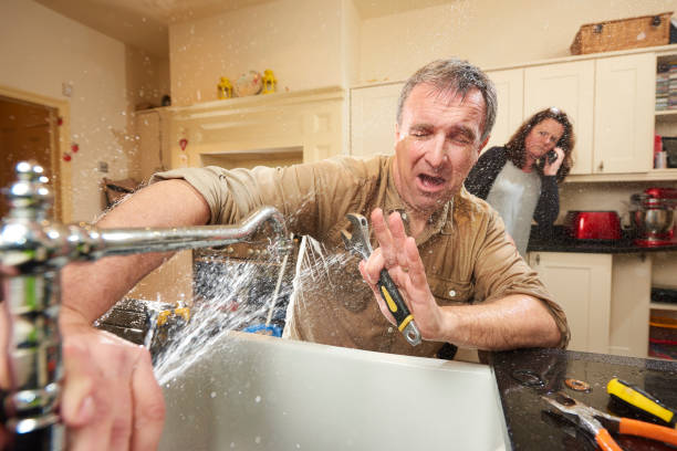 Best 24-hour water damage restoration  in Murphysboro, IL